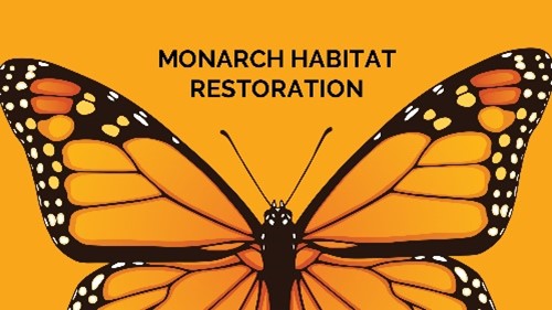 Image of a monarch butterfly. Text on image says Monarch Habitat Restoration.